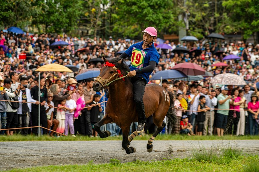 market analysis and competition